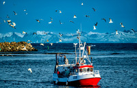Norway North